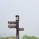 동강물소리 | 장구목이와 숲의 향연 속으로 (장구목이 입구· 이끼폭포· 너덜 길· 상봉 등정 후기) 2026. 5. 23(토)