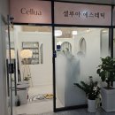 셀린에스테틱(CELINE AESTHETIC) | 인천 윤곽 관리로 유명한 <셀루아에스테틱>에서 윤곽 관리 받고 온 후기