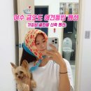 해바람펜션 이미지