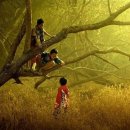 금보농장 이미지