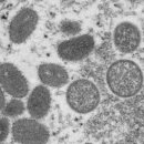 (주)가나바이오 이미지