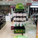 예스골프존 이미지