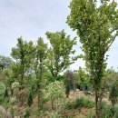 송연농장 이미지