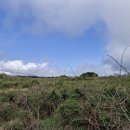 금당목장 이미지