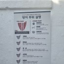 신영수산 | 제주 신영수산 방어 1마리 필렛 구매 후기(집에서 먹어본 솔직 후기)