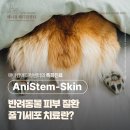 AniStem Skin(피부질환) 줄기세포 치료란? 강아지·고양이 줄기세포전문동물병원, 애니컴메디컬센터
