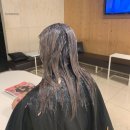 도연2호 이미지