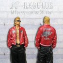 레굴루스(Regulus) 이미지