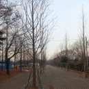 화랑유원지건너편 이미지