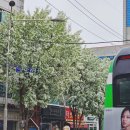 우자매 순대국 이미지