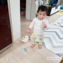 거상유통 이미지