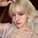 온바이브헤어