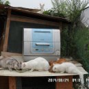 순이농장 이미지