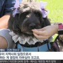 은인 이미지