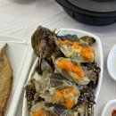 이천 부발읍 짜지 않고 맛있는 간장게장 맛집 “안스게장 이천점” 내돈내산 후기