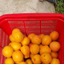 버드네농장 이미지