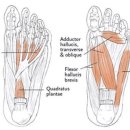 꿈에의원 이미지