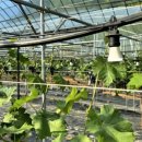 무럭이농장 이미지