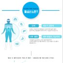 육각수 이미지