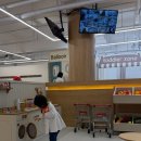 지산타워 | 대구 수성구 지산동 맘편한플레이스 키즈카페 후기, 20개월 아기와 평일 방문