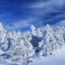 2019년 1월12일~13일 제주 한라산 눈꽃산행 및 관광 이미지