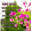 새해 복 많이 받으세요 ㅡ 1월 끝자락 인사말 이미지 외 이미지