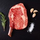 빅토리푸드 Daum카페