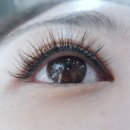 여시눈썹 이미지