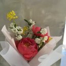 보태니컬 플랜(Botanical Plan) 이미지