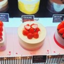 투썸플레이스일산백마점 네이버블로그