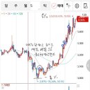 사팔코퍼레이션