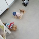 아라펫살롱 이미지