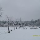 백담알프스펜션 이미지