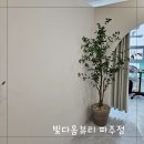 파주 운정 통증테라피 빛다옴뷰티에서 등관리 후기