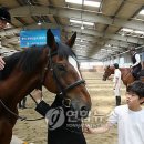 안성승마클럽 이미지