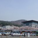 쏠라파크