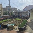 식탁위의텃밭 이미지