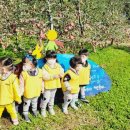 왕자농장 이미지