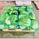 전통항아리보쌈 이미지