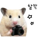 말랑말랑 이미지