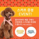 플라이퍼피 네이버블로그