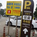 동홍동 791-3 | 비 오는 날, 몽환적인 분위기의 외돌개 / 상쾌한 숲길 속 천지연폭포 / 속이 뻥 뚫리는 정방폭포