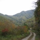 하천리-6 이미지