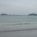 몽산포 송림 이미지