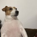 이마트24 여주사이먼점 | 2003년 1월에 태어난 사람이 쓰는 2026년 1월 정산