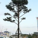 이천시청 모두의 광장 이미지