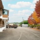 강촌펜션 | 강촌펜션 에서 자연 속 힐링 하고, 가을 감성 가득한 강촌 잠빌펜션 바베큐 후기