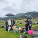 고운동_세종중앙타워 | 세종 고운동 돼지갈비 맛집 갈비만, 대전 가족 성묘후 세종시 삼겹살 대하구이 폭풍 흡입한 내돈내산 후기