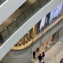 요가3 | 알로요가 3매장 비교후기｜방콕·이태원·더현대