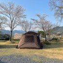 유 농원 | 서천 근처 캠핑장 옥산호수정원(진달래관광농원) 후기